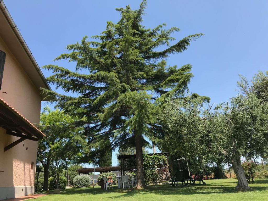 San Francesco Bed & Breakfast Orbetello